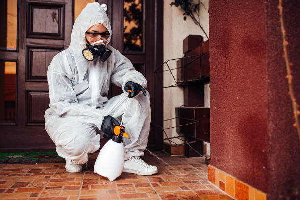 Reliable Cockroach Control contractor in Annapolis, MD by Nex Pest Control